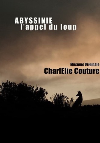 Abyssinia, the call of the wolf