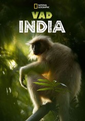 Vad India