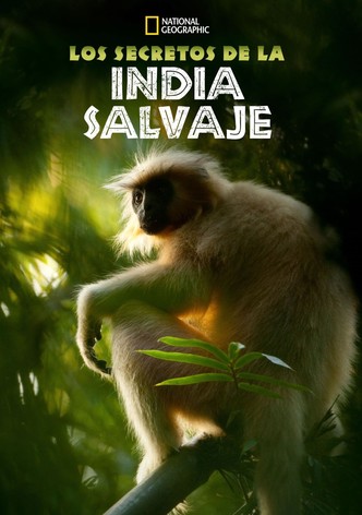 Los secretos de la India salvaje