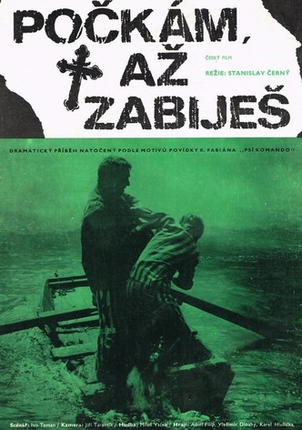 Počkám, až zabiješ