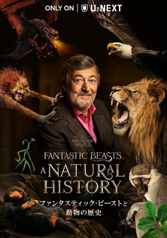 ファンタスティック・ビーストと動物の歴史