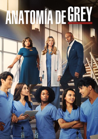 Grey s Anatomy Ver la serie de tv online