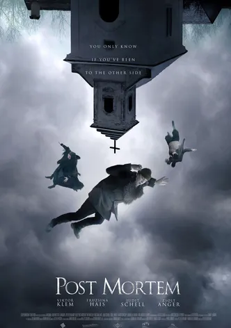 Post Mortem poster