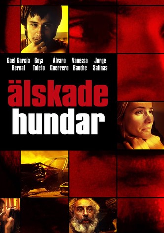 Älskade hundar