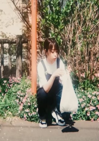 紫陽花