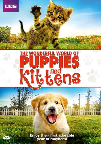 The wonderful world of puppies watch online deals