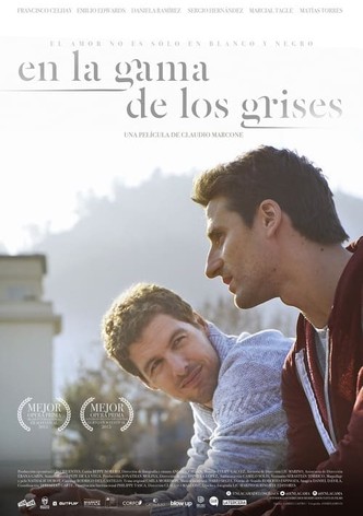 En la gama de los grises