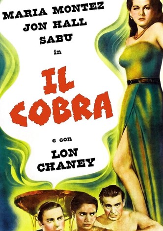 Il cobra