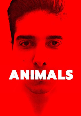 Animals