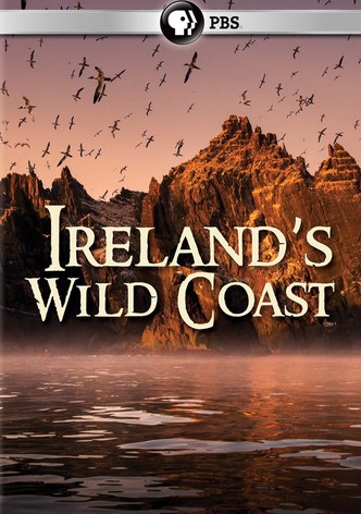 Ireland's Wild Coast