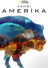 America the Beautiful