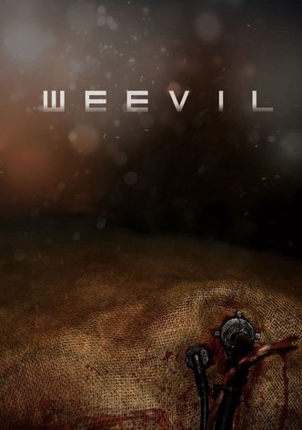 Weevil