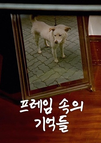 프레임 속의 기억들