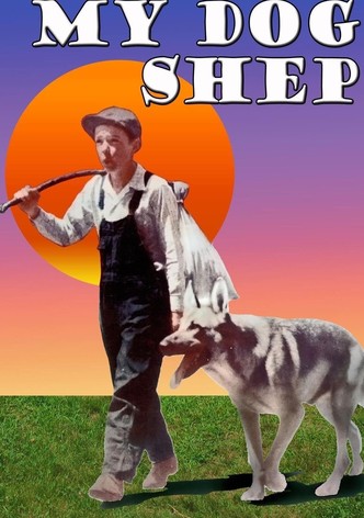 My Dog Shep