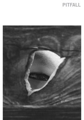 Pitfall