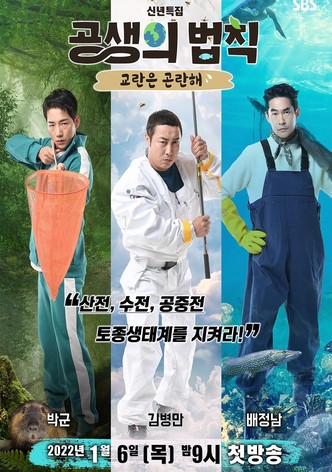 공생의 법칙