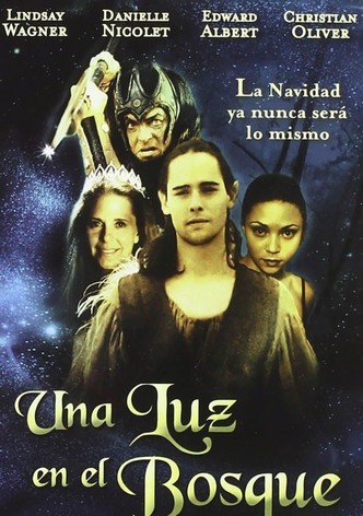 Una luz en el bosque