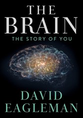 The Brain with David Eagleman - Temporada 1