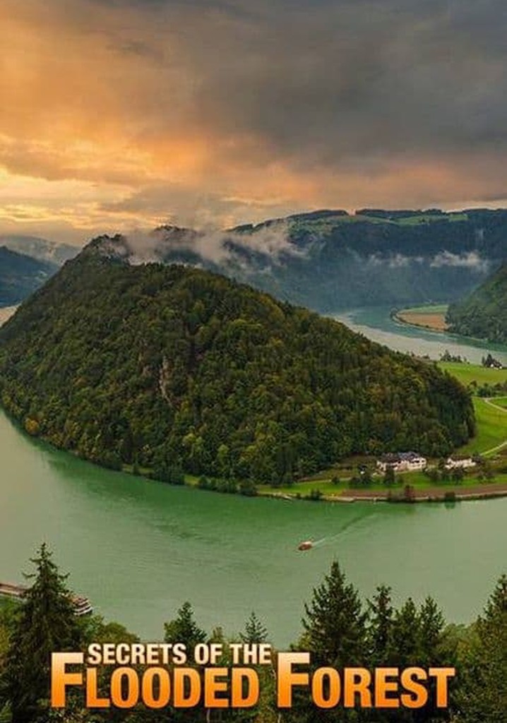 Secrets of the Flooded Forest