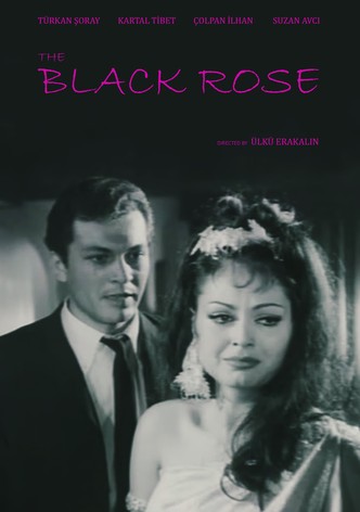 The Black Rose