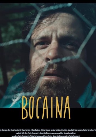 Bocaína