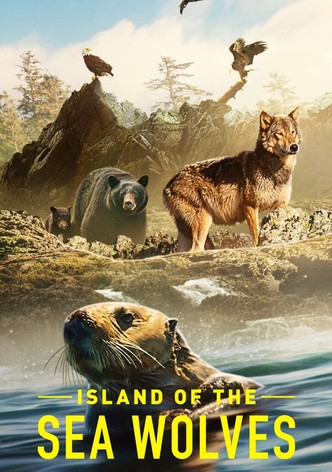 Die Insel der Küstenwölfe