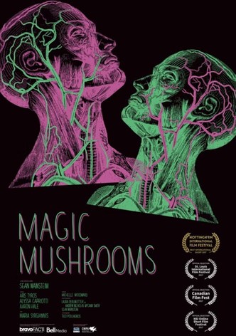 Magic Mushrooms