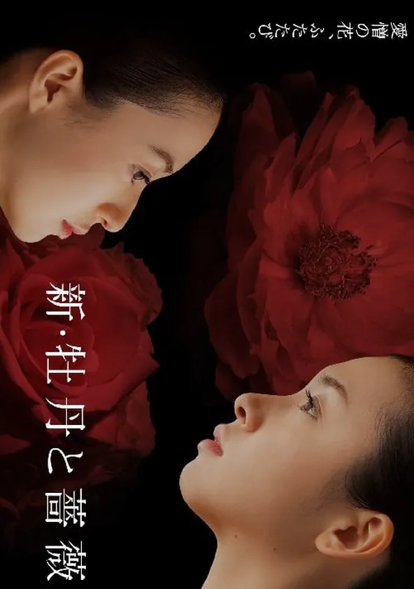 牡丹と薔薇　全12巻セット　完結　DVD　ドラマ　匿名配送 Amazon.co.jp: 牡丹と薔薇 [レンタル落ち] (全12巻) [マーケット