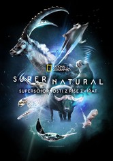 Super/Natural: Superschopnosti z říše zvířat