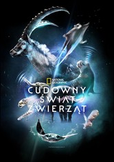 Cudowny świat zwierząt