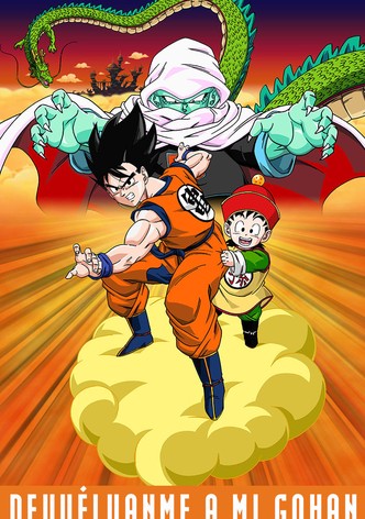 Dragon Ball Super: Super Hero' llega a streaming: Cuándo y dónde ver online  en España la última película de Bola de Dragón