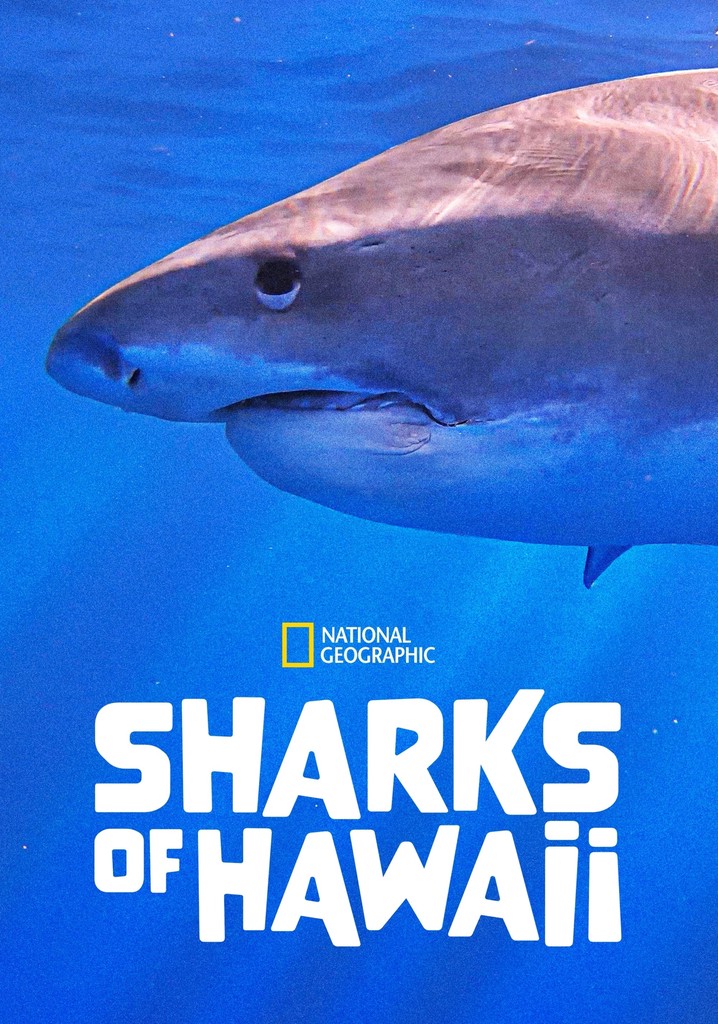 Sharks of Hawaii