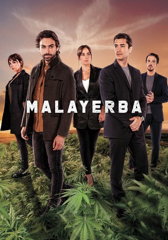 MalaYerba