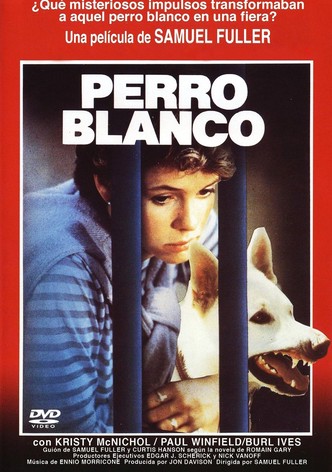 Perro Blanco