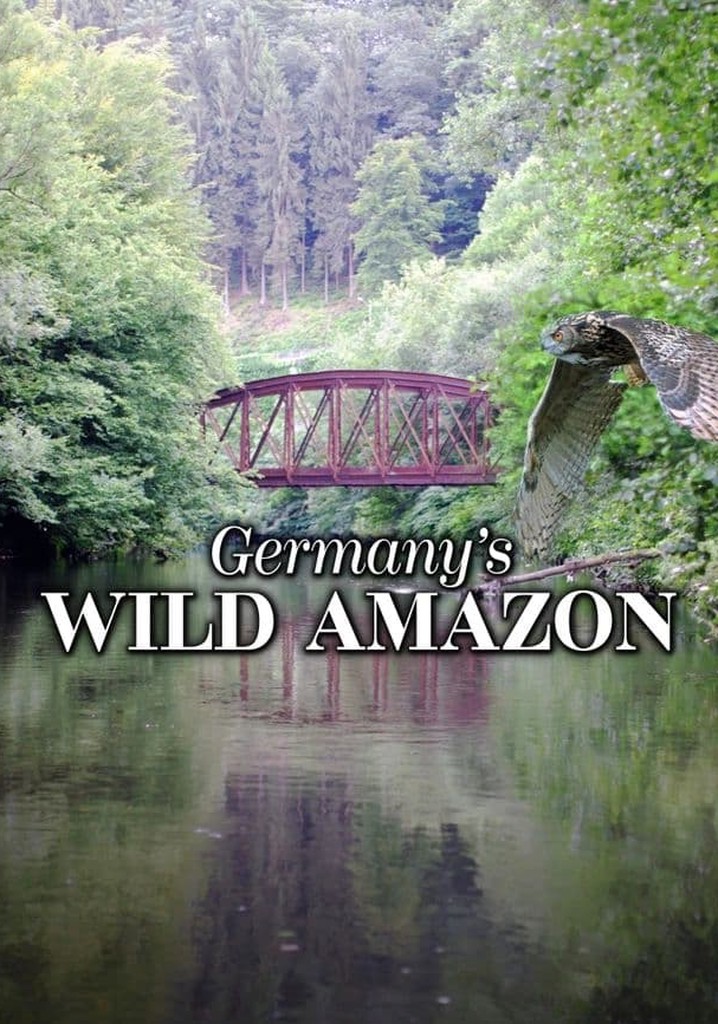 Die Wupper: Amazonas im Bergischen Land