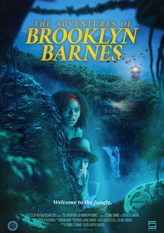 The Adventures of Brooklyn Barnes