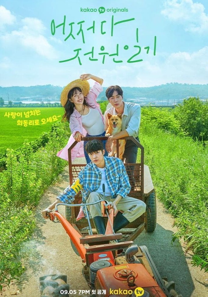 Once Upon a Small Town