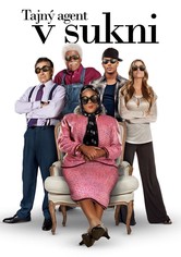 Tajný agent v sukni