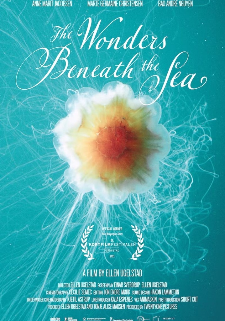 The Wonders Beneath the Sea