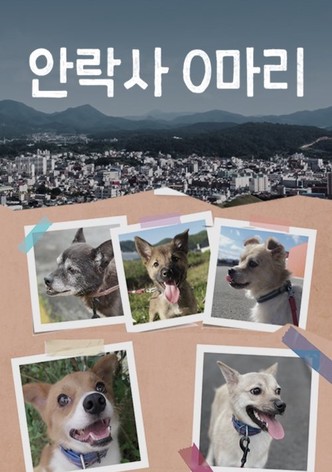 안락사 0마리