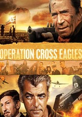 Operation Cross Eagles