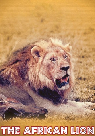 Geheimnisse der Steppe