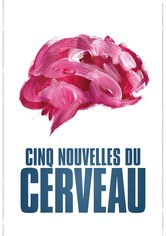 Cinq nouvelles du cerveau