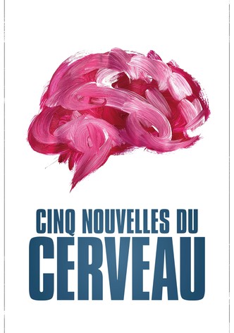 Cinq nouvelles du cerveau