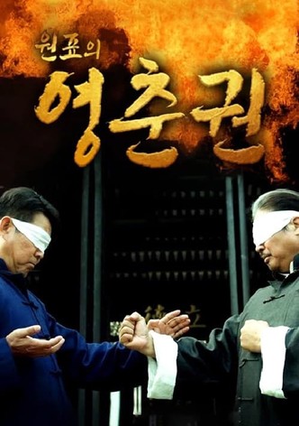원표의 영춘권