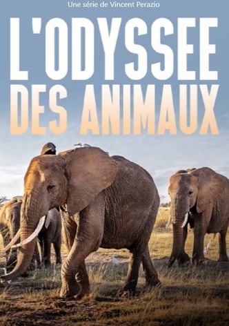 Die Odyssee der Tiere