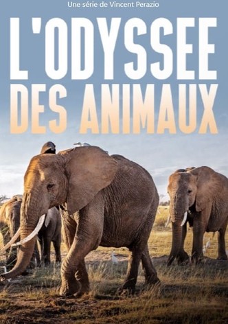 L'odyssée des animaux