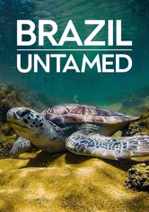 Brazil Untamed