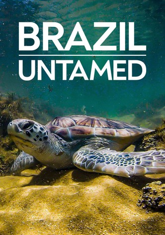 Brazil Untamed