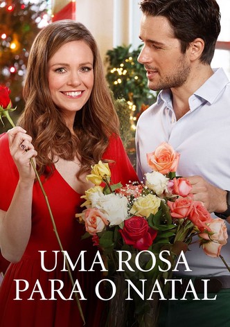 Uma Rosa para o Natal